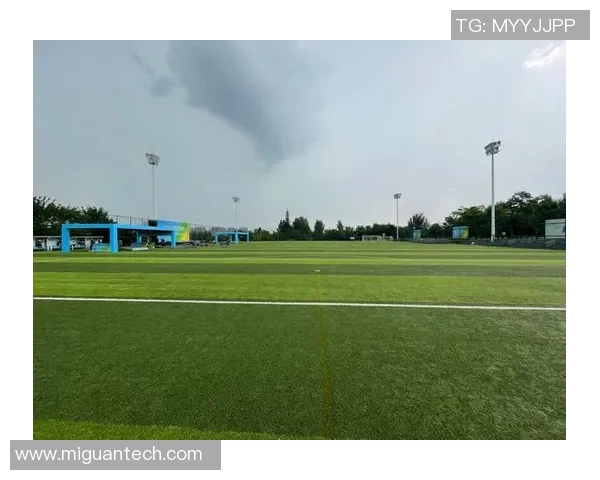 西安飞盘队比赛经验深度对比与分析探讨